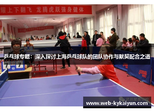 乒乓球专题：深入探讨上海乒乓球队的团队协作与默契配合之道