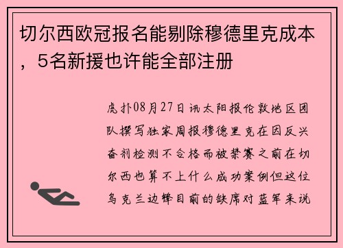 切尔西欧冠报名能剔除穆德里克成本，5名新援也许能全部注册
